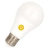 Bailey | Ampoule LED | Grand modèle E27 | Ampoule standard | 60mm | 5.5W
