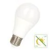 Bailey | Lampe LED | Grand modèle E27 | Lampe standard | 60mm | 9W
