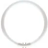 PHILIPS | Round TL 2GX13 | 23W