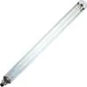SPL | Ampoule SOX-E | Culot baïonnette BY22d | 91W