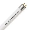 MASTER TL5 HO 24W - 840 Cool White | 55cm