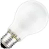 Ampoule | Grand modèle E27 | Lampe standard | Mat | 60mm | 25W | 24/28V