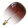 Calex | Filament LED | Grande douille E27 | Lampe design | 170mm | 5W