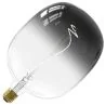 Calex | Filament LED | Grande douille E27 | Lampe design | 170mm | 5W