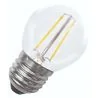 Bailey | Ampoule LED | Grand modèle E27 | 2W | 12 - 42V | 12 - 42V