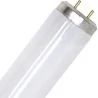 SL | tube fluorescent | raccord G13 | T12 | 20W | Blacklight UV lampe insecte | 59cm