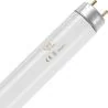 SPL | tube fluorescent | raccord G13 | T8 | 15W | lampe UV pour insectes | 44cm