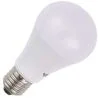 SPL | Lampe LED | Grand modèle E27 | Lampe standard | 65mm | 12W