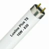 Luxline Plus T8 16W - 830 Warm White | 72cm