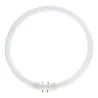 T5 Circline | 32W | 2GX13 | 4 broches | Ø300mm | 840 Blanc froid