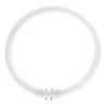 MASTER | Tube fluorescent rond | TL5C Circulair | 55W | 4 broches | Ø300mm | 830 Blanc chaud