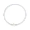 MASTER | Tube fluorescent rond | TL5C Circulair | 22W | 4 broches | Ø230mm | 840 Blanc froid