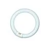 T9 Circline | 32W | G10Q | 830 Blanc chaud