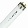 Fluorescent T8 | 30W | Raccord G13 | 840 Blanc froid | 90cm
