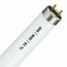 Tube fluorescent TL T8 | 36W | G13 | 840 Blanc froid | 120cm