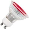 SPL | Ampoule LED | GU10 | Spot | Rouge | 50mm | 5W