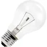 Ampoule | Grande douille E27 | Ampoule standard | Transparente | 55mm | 40W