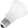 Lampe à incandescence | Grand modèle E27 | Lampe Superlux | Opale | 50mm | 25W