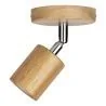 Bailey | Plafonnier/murale | LED interchangeable | 60W Non-dimmable