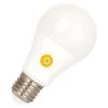 Bailey | Ampoule LED | Grand modèle E27 | Ampoule standard | 60mm | 5.5W
