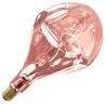 Calex | Filament LED | Grande douille E27 | Lampe design | 165mm | 6W