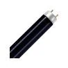 MASTER TL 4W 108 lumière noire - 14cm
