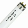 Luxline Plus T8 16W - 840 Cool White | 72cm