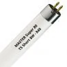 MASTER | Tube fluorescent T5 Short | 8W | 4 broches | 29cm | 840 Blanc froid
