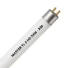 MASTER TL5 HO 54W - 830 Warm White | 115cm
