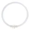 Lumilux T5 Circular FC 55W - 840 Blanc froid | 30cm