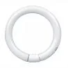 T9 Circline | 30W | G10Q | 840 Blanc froid