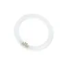 T9 Circline | 22W | G10Q | 840 Blanc froid