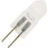 Ampoule halogène à broches | G4 | Mate | 31mm | 10W