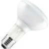 Lampe à incandescence | Grand modèle E27 | Lampe à réflecteur | Mat | 95mm | 100W
