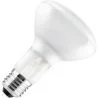 Lampe halogène | Grande douille E27 | Lampe à réflecteur | 105W 95mm Matt