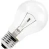 Ampoule | Grande douille E27 | Ampoule standard | Transparente | 55mm | 25W