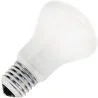 Ampoule | Grand modèle E27 | Lampe Superlux | Opale | 75mm | 150W