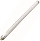 Tubes fluorescents