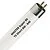 MASTER | Tube fluorescent T5 Short | 8W | 4 broches | 29cm | 840 Blanc froid