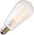 Ampoule à Filament de Carbone Edison | E27 | 40W Or